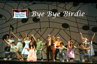 Bye Bye Birdie Teen WK (2007)