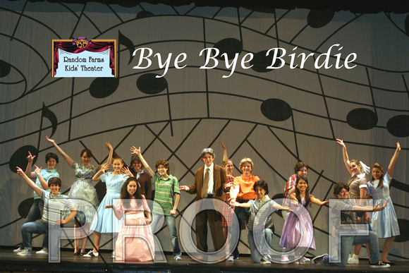 bye bye birdie teen workshop