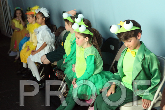 JBFrogPrinceCastD017