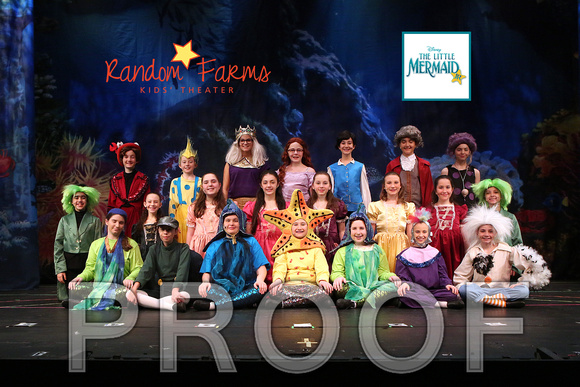 WkLittleMermaidCastH001