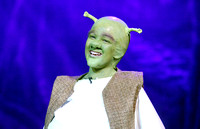 Shrek MS (2013)