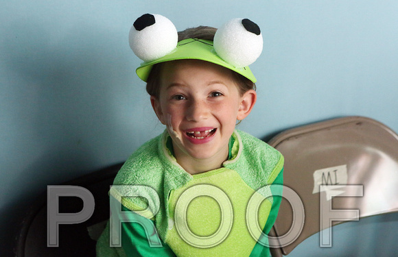 JBFrogPrinceCastE014