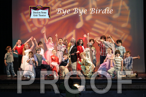 bye bye birdie workshop D cast