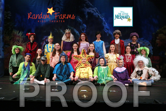 WkLittleMermaidCastH003