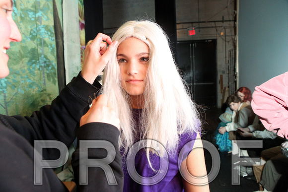WkLittleMermaidCastH015