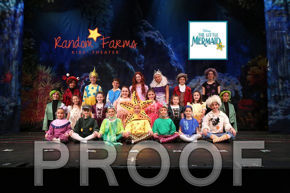 WkLittleMermaidCastB002
